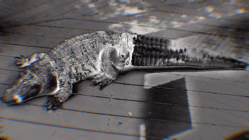 Item #30476162275126956489098327734147978187585883264254375420910265745486659977217 Media