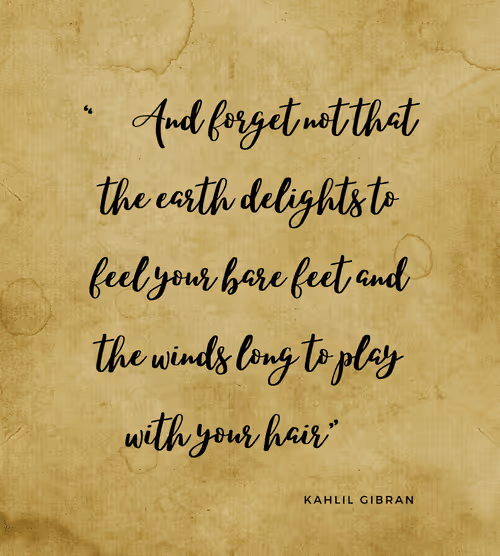 Item #74244561265385560548005883535502276132434054888589550816365993513969684316161 Media