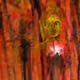 60876967096047744871803003159792901949584699102744754413391563793112345083905