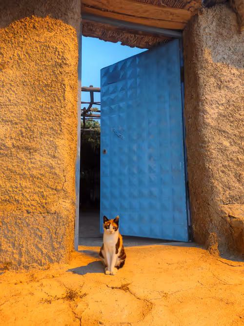 Item #53581876738018030526296833198765097323208142745183468553001527212707455960040 Media