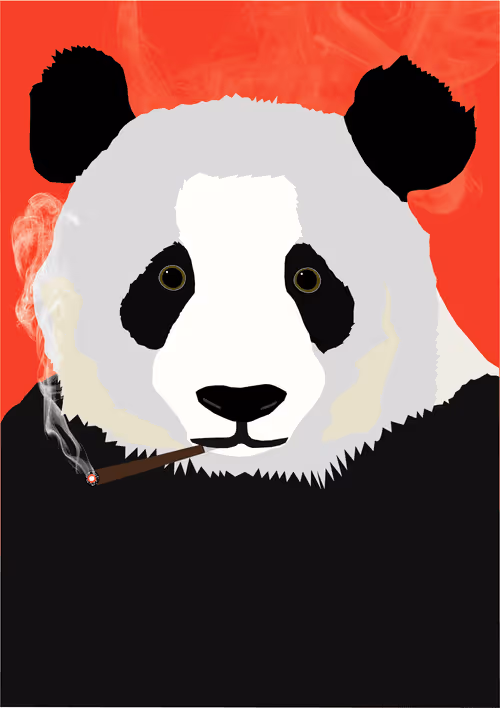 Item #46679994496108624530020148644785155104419172278486625888968681003704372953089 Media