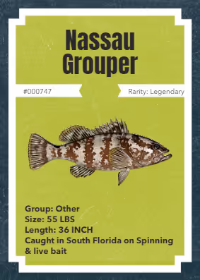 43502264269384842523243150070095810631836830099831581701628992125284269424641