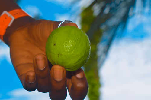 Item #38915332741735387792516538954722392735058540622513629718741133270417561092097 Media