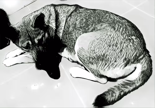 Item #74122138759525378795667626270866148487737655975912799548892276412277334212609 Media