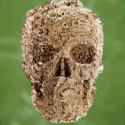 47176454807076825679431215681833454926344141321117842083750283188422123192321