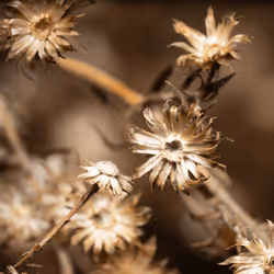 93437413673241477184719516664819130297052764633557001940307578633104459300865