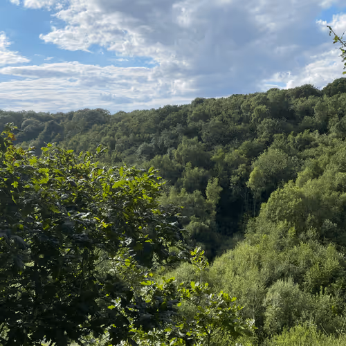 nature
