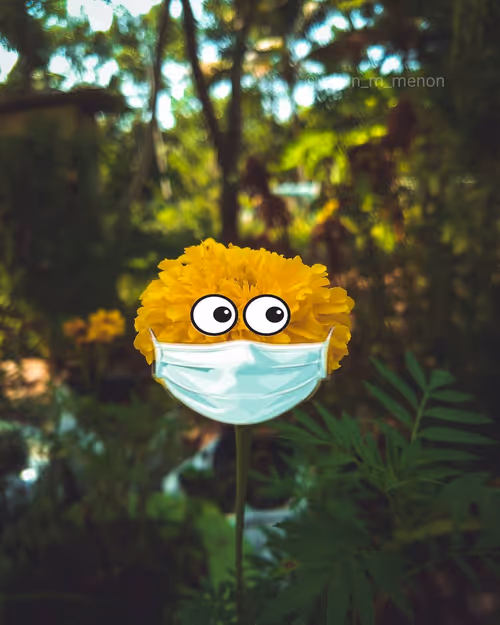 Item #96373460507912281939903112807065392587728079623754575039603803295945852977153 Media