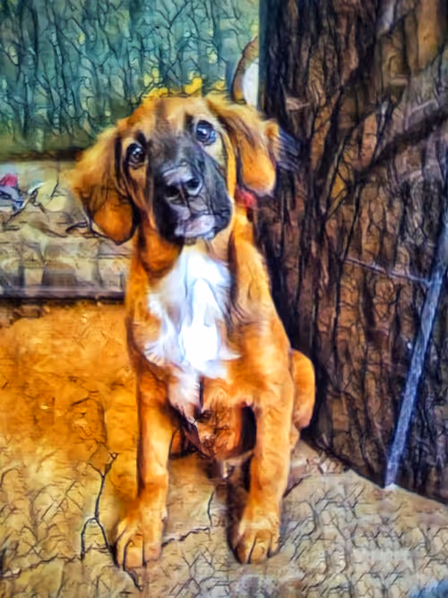 Item #109885862523976899144651734441556854765315219074328426947809034510791581106177 Media