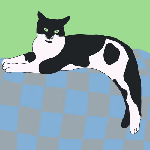 Item #100705917282703893939384424075952826083151836848677792179932389091671453728769 Media