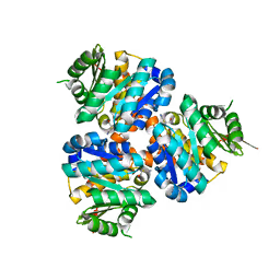 Item #59334117117279908919326586416284354943781775533468435051884907545456057253889 Media