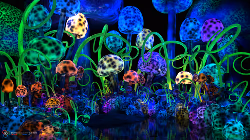 Item #112734530857144882359999642701628212224458434027144103607303887988727518168736 Media