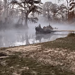 Eerie Morning