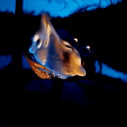 The Marshmallow