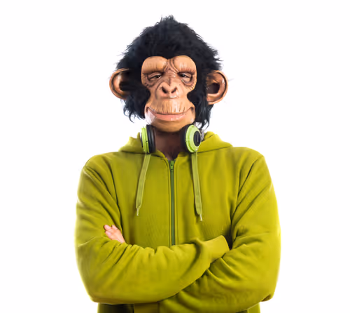 Untitled Collection #441102680