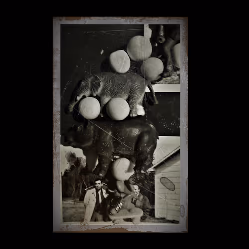 Item #85043563857425734787029872858228068518532895461354812368453176972624361684993 Media