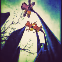 3787080761074609709675817509753112159059746763483256848434353644657826594817