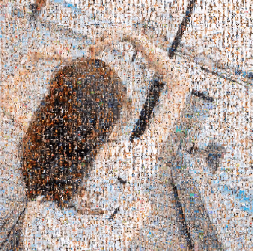 Untitled Collection #33715167