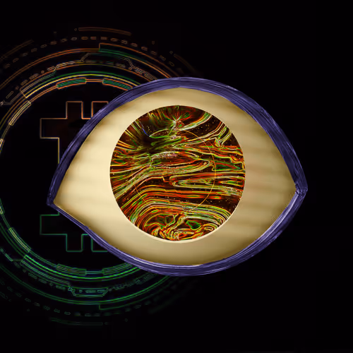 Item #82805066404509314974628897610117122633214835484764207240635654758721321435137 Media