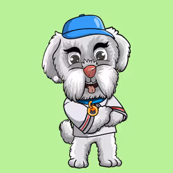 7243329258364634917720300224334287044926108380145980626918073679307656396801