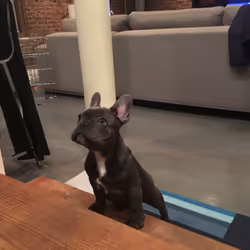 99031261785432219130552668818269695456905868997165113515571762333544882372609