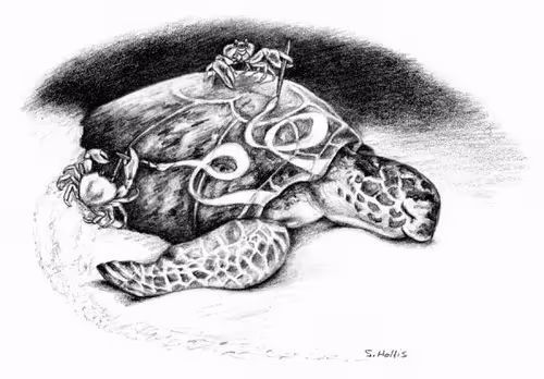 Item #24600310660482288606297797528155087939323639147399647196853483665529539395684 Media