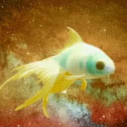 64831065688873909434537665941137318682836571431209528516298654547265806401541