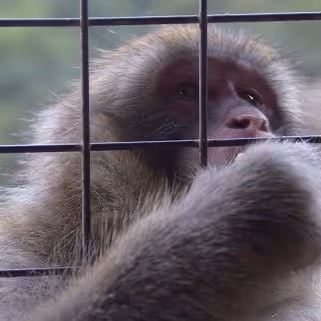 Item #104393042430735920570675199271751087015795982291135687710705790885123810394113 Media