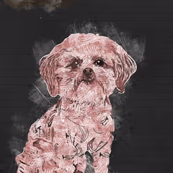 11276162529628641556553056529614973332754405277106184420845745630452591362049