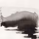38815986293589251371928311393164180087337567749251340404798850426426812792833