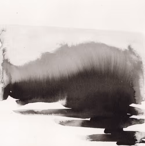 Item #38815986293589251371928311393164180087337567749251340404798850426426812792833 Media