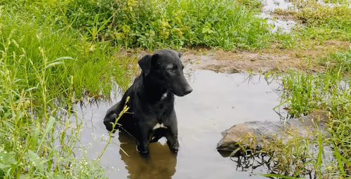 Item #39916610678052500138596211548792698776473563312308341193271399253332474200065 Media