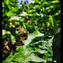 3787080761074609709675817509753112159059746763483256848434353893147454472193