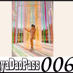 ArayaDaoPass#61