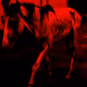 102076726061812837224518453144237160679569761232543949401581633218820087742465