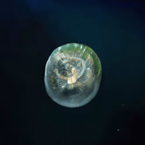 Item #4750064852715738149564930854294668621974194112560083604087540719349405843457 Media