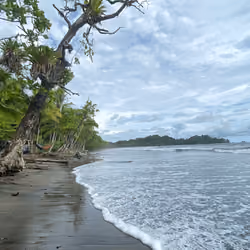 Pura Vida