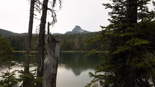 Item #2005862319158051831365229387864138466486092287762213337058068740619747983361 Media