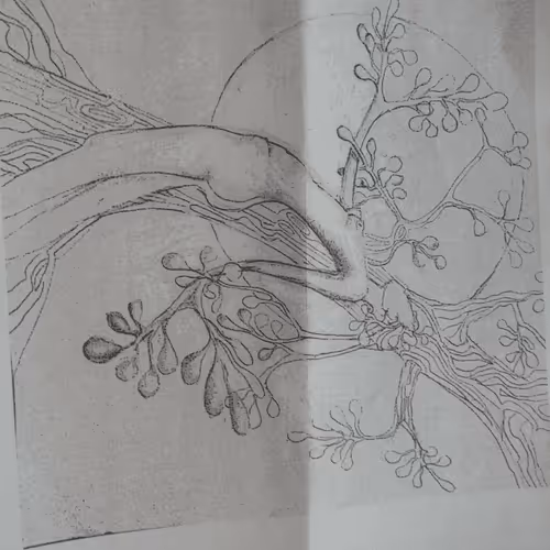 Item #18176788950427624220259628139846621060177753597814162218363589676844470763530 Media