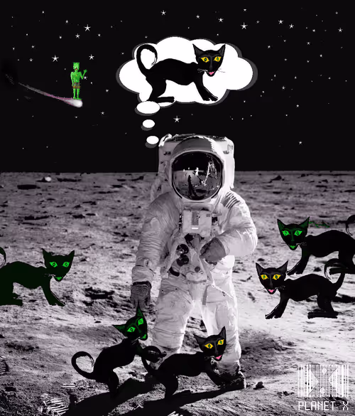 Item #21085165592744683834534806060528944156963478774062173311530841808360920055818 Media