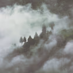 Lost in the Clouds