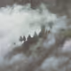 Lost in the Clouds