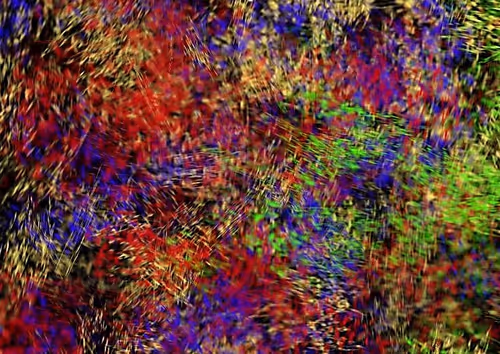 Item #97667747305328880677719999642930270019019806513031101726286666954333598253057 Media