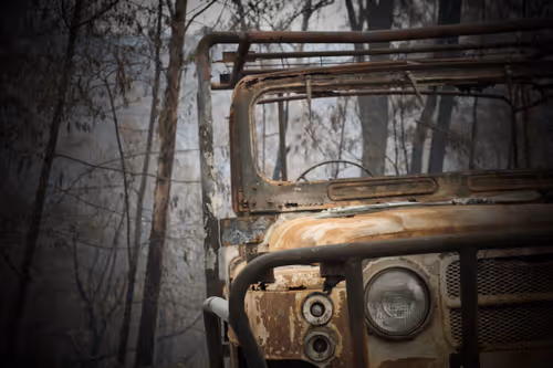 Untitled Collection #242175638