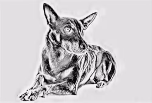 Item #23143313246472061328071561115701105421589606567298838424350448141240987811841 Media