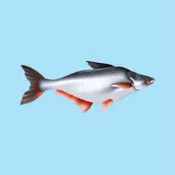 Save Marine Lifes #25