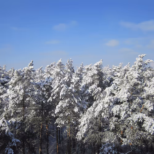 Item #39781805688626842994046507888546694714899270474383352618679520634701346766849 Media