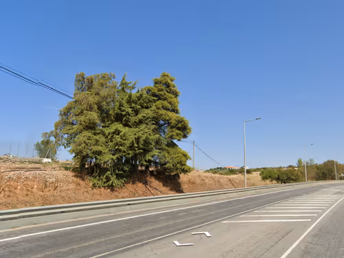 Item #21766675222774875702069380138995276219631073462771150610816622976319344345089 Media