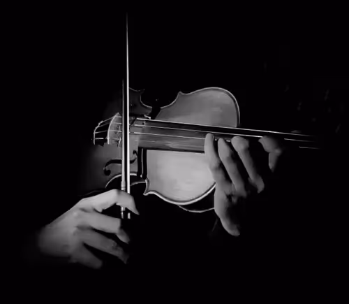 Untitled Collection #59261712