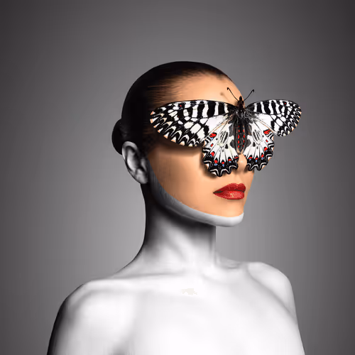 Item #78818084022244865161738071714937808548919018779502387399578968254523843280897 Media